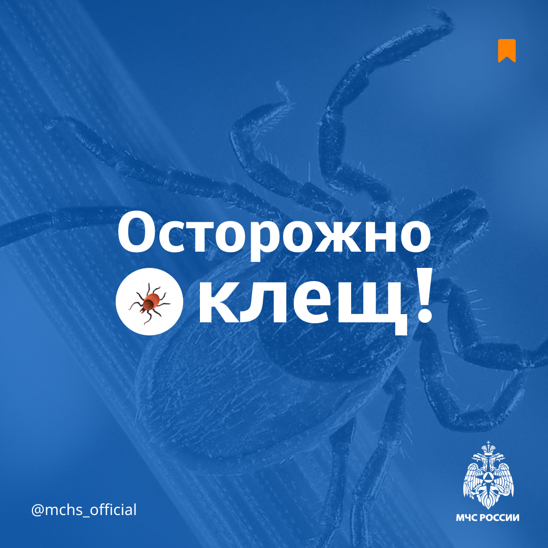 Осторожно клещ!.
