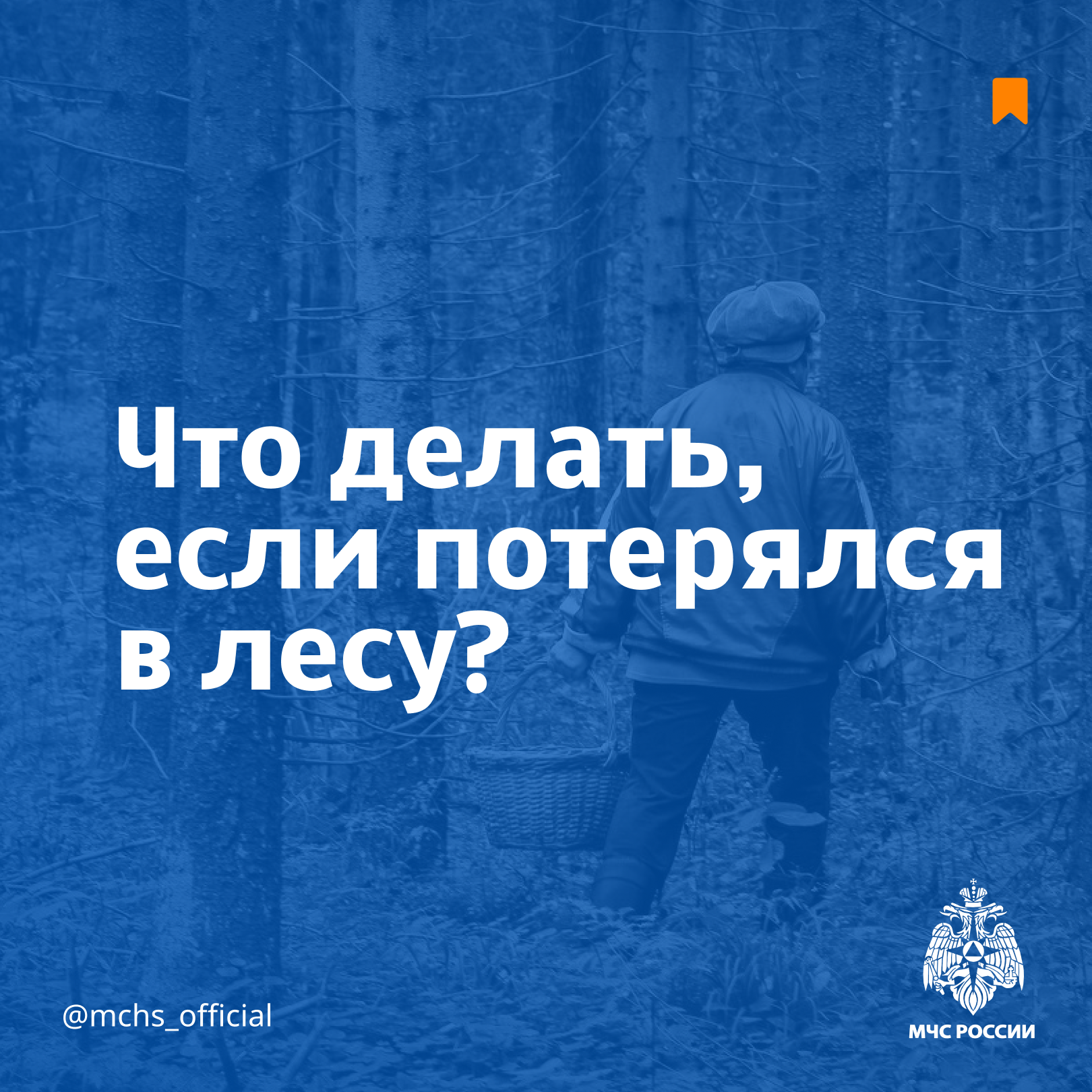 Что делать если потерялся в лесу?.