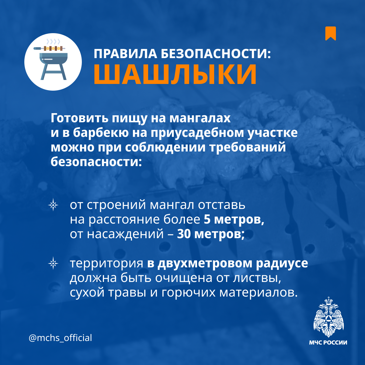 Правила безопасности: шашлыки.